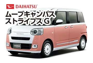 ムーブ キャンパスストライプG